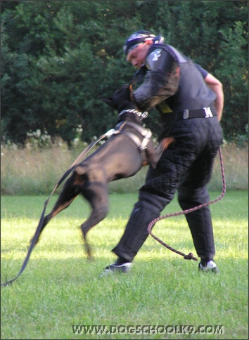 Summer training camp in Estonia 2007